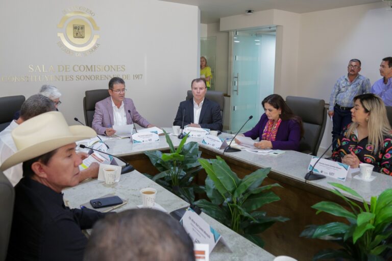 Fortaleciendo el Futuro Agrícola de Sonora: Se Instalan Nuevas Comisiones