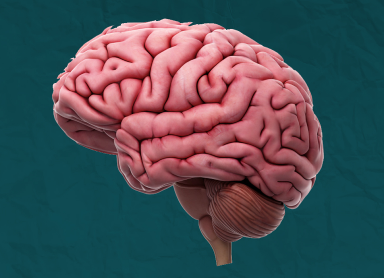 El Cerebro y los Microplásticos: Un Enemigo Invisible en la Salud Mental