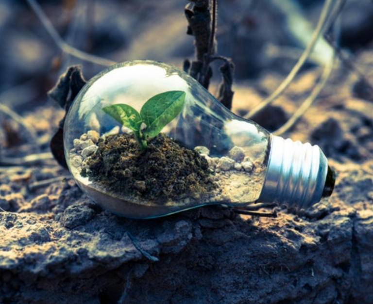 El mundo no alcanzará los Objetivos de Desarrollo Sostenible para 2030, advierte estudio de la UNAM