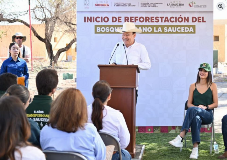 Gobernador de Sonora inicia reforestación histórica en La Sauceda con más de 4,000 árboles nativos