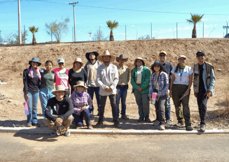 La Sauceda: Arte, Reforestación y Comunidad Transforman un Bosque Urbano en Sonora