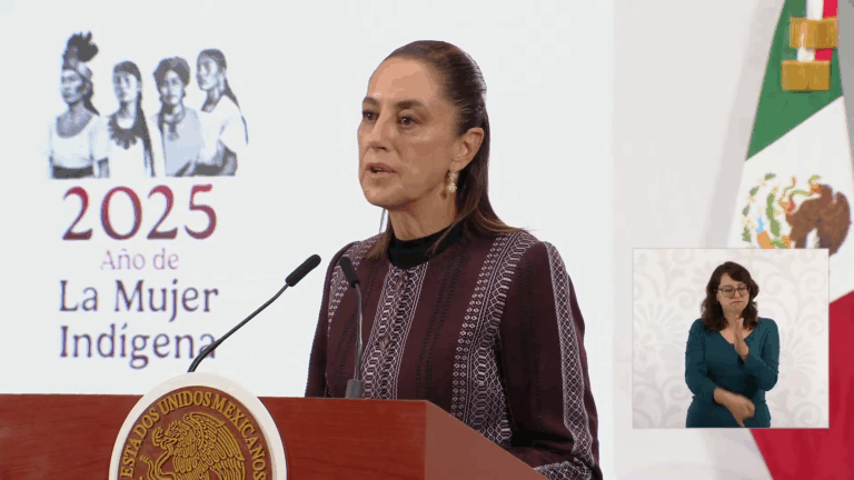 “Diario de una transición histórica: Sheinbaum revela los secretos del relevo presidencial”